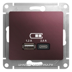 SE Glossa Баклажановый Розетка 1-ая с с/з с USB тип A+C